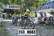 233_0683